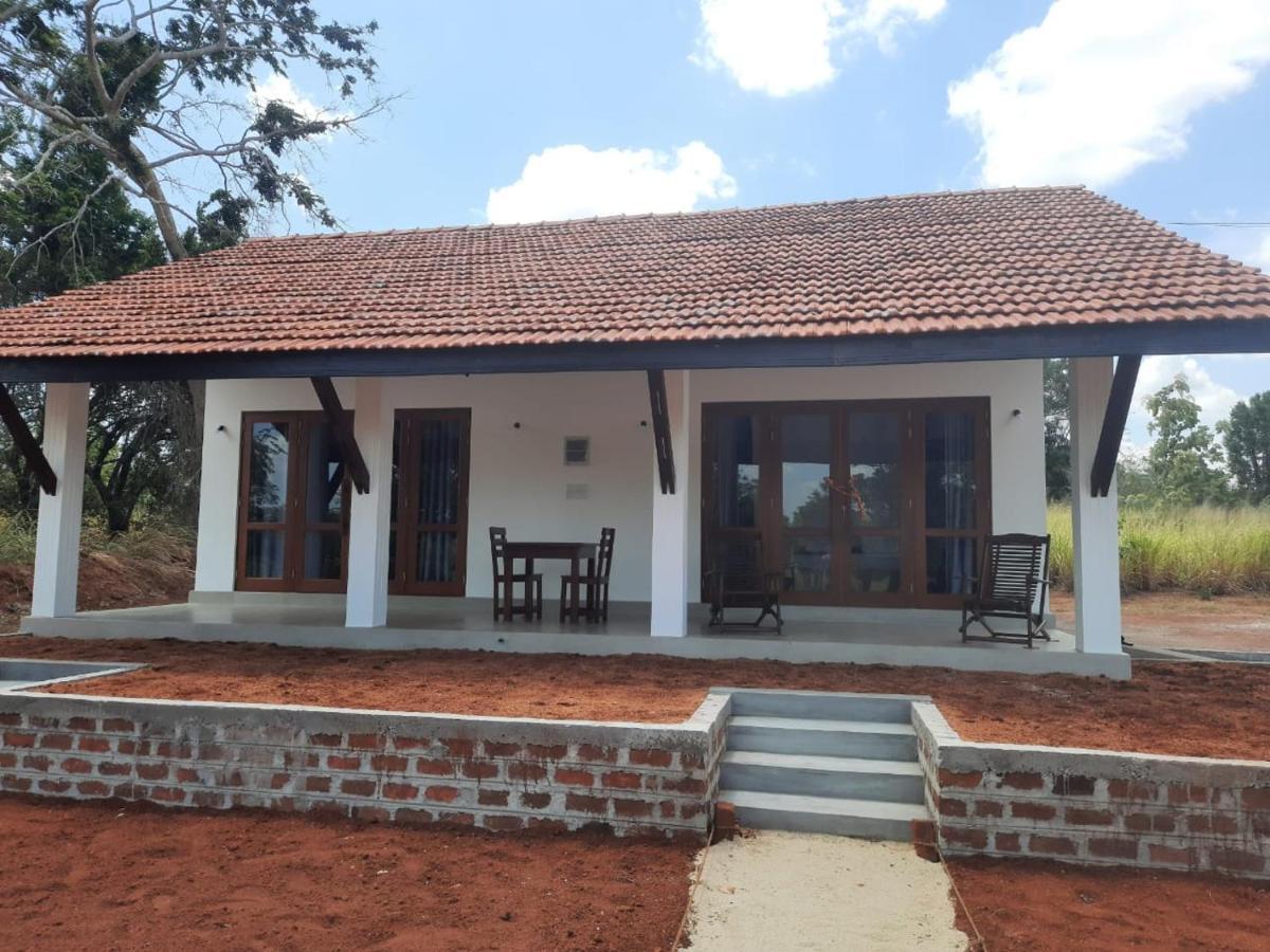 Moni Farm House Wilpattu Nochchiyagama Zewnętrze zdjęcie