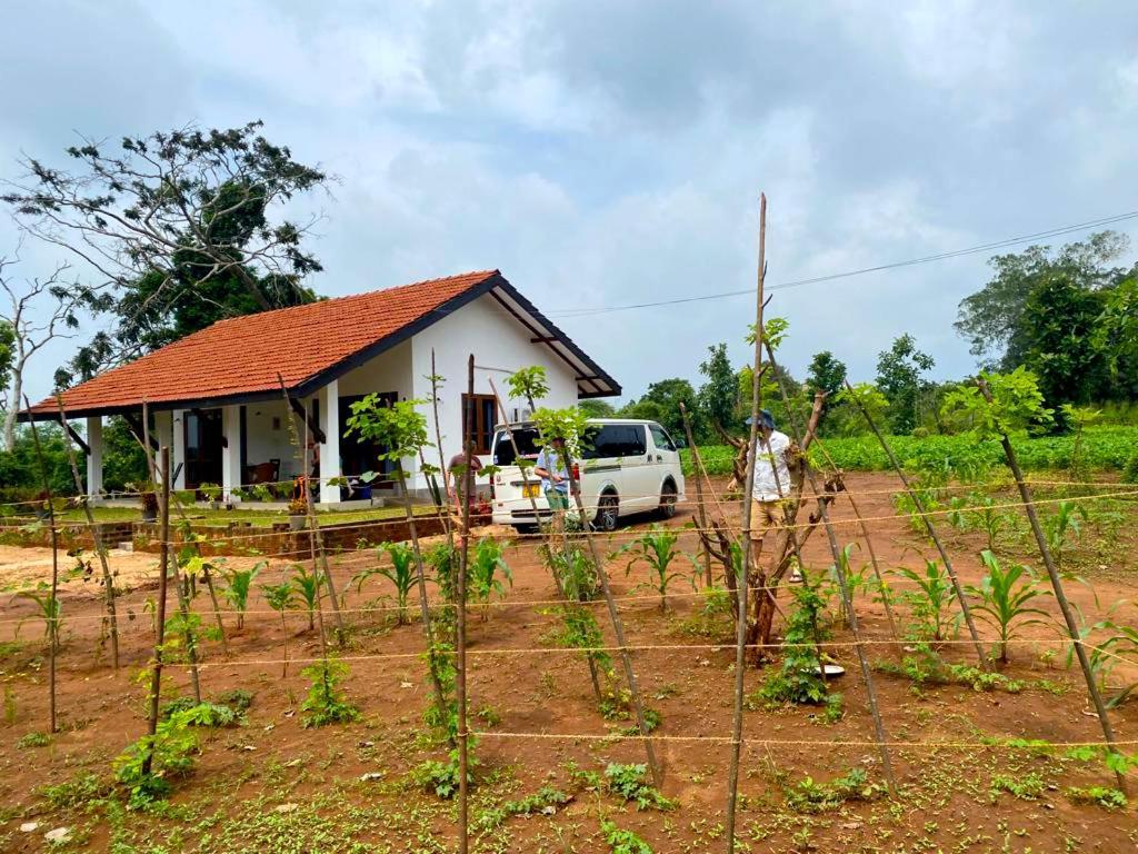 Moni Farm House Wilpattu Nochchiyagama Zewnętrze zdjęcie