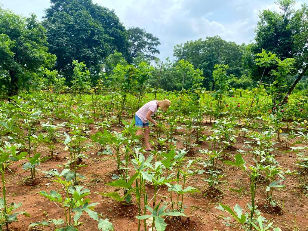 Moni Farm House Wilpattu Nochchiyagama Zewnętrze zdjęcie