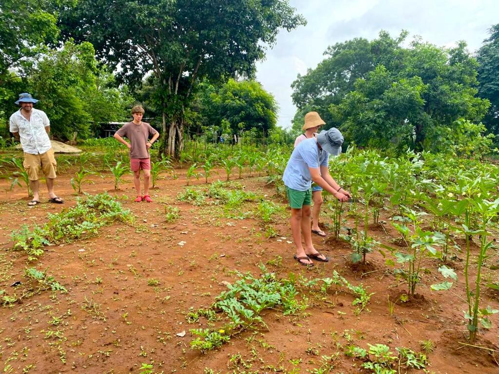 Moni Farm House Wilpattu Nochchiyagama Zewnętrze zdjęcie