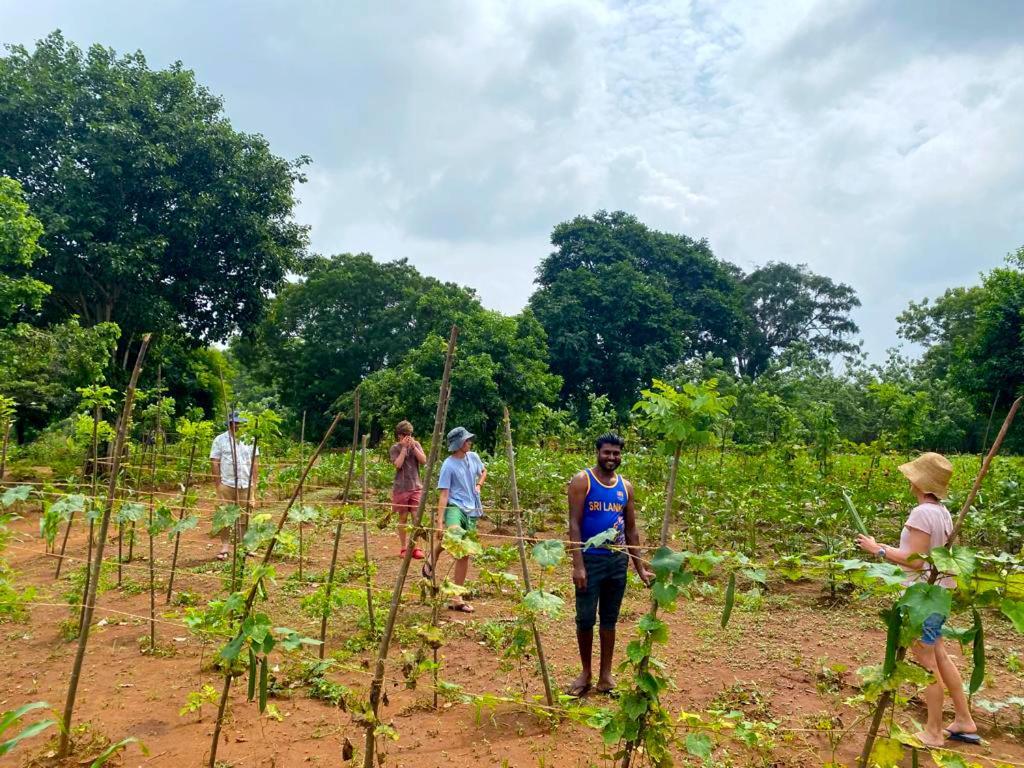 Moni Farm House Wilpattu Nochchiyagama Zewnętrze zdjęcie