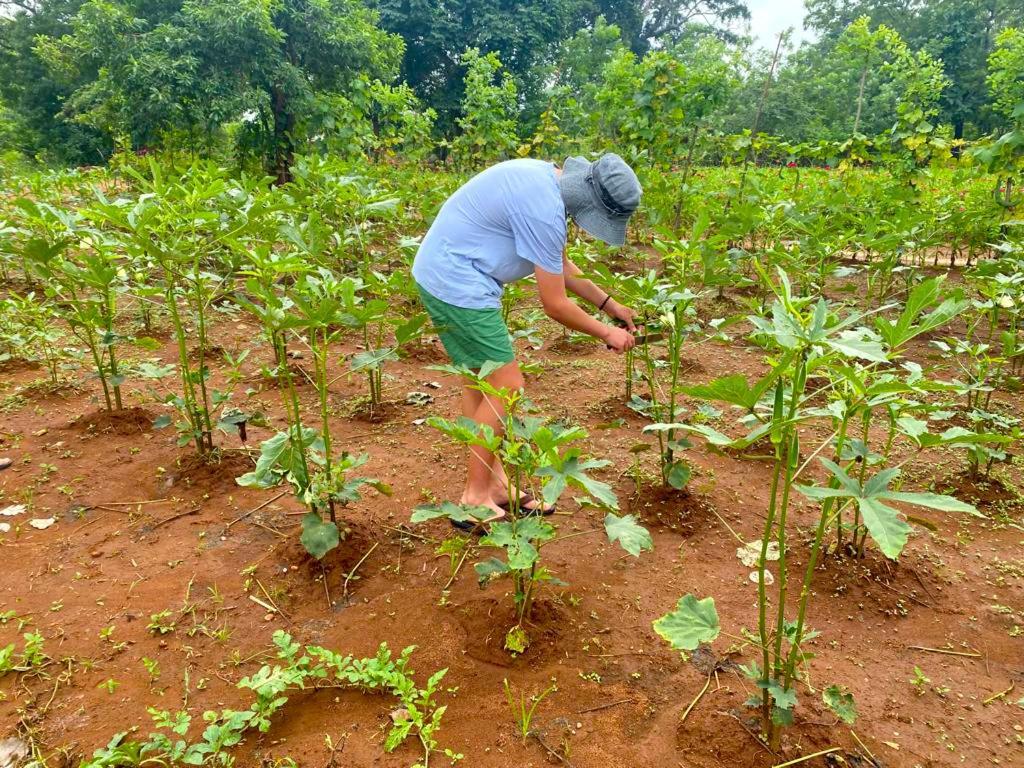 Moni Farm House Wilpattu Nochchiyagama Zewnętrze zdjęcie