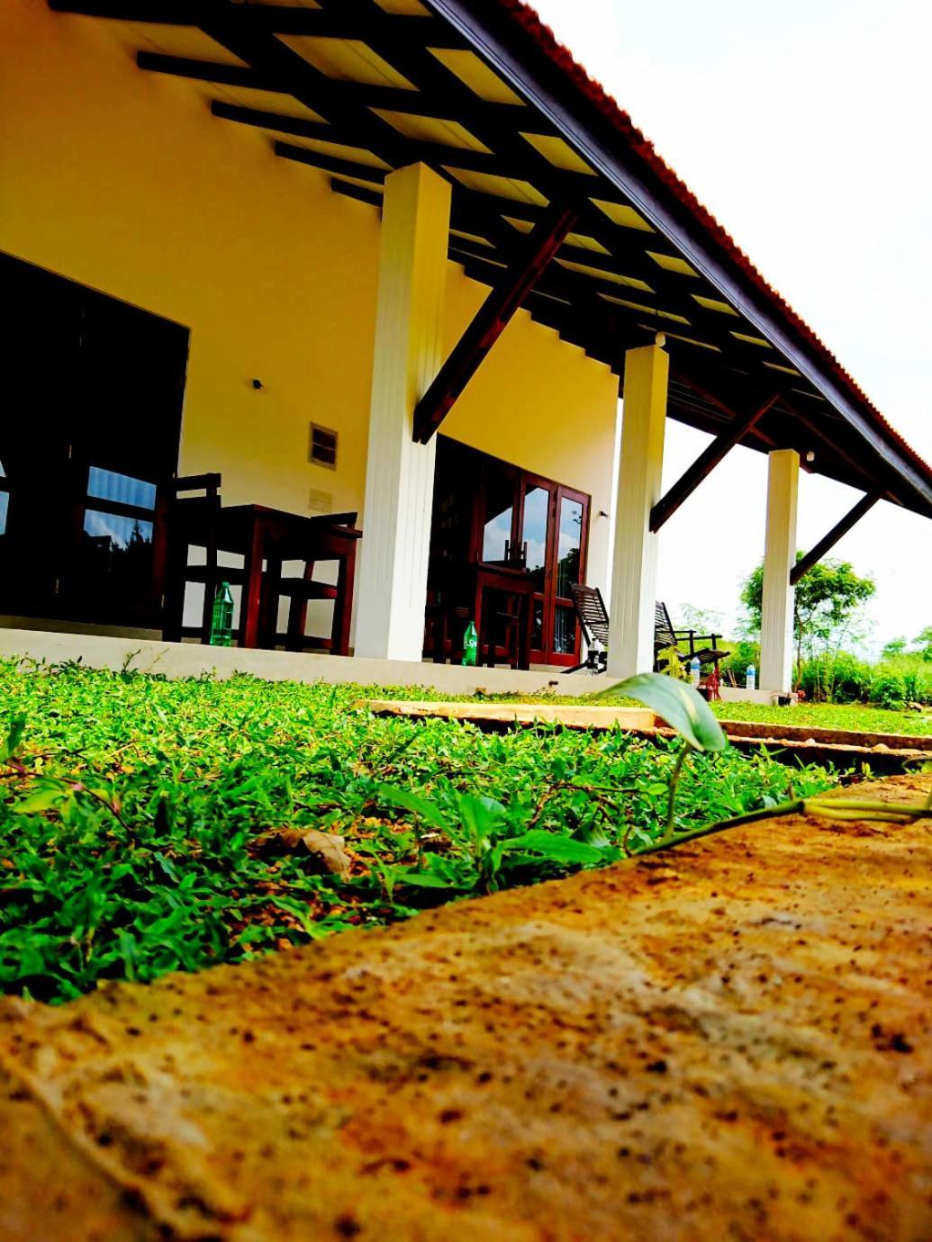Moni Farm House Wilpattu Nochchiyagama Zewnętrze zdjęcie
