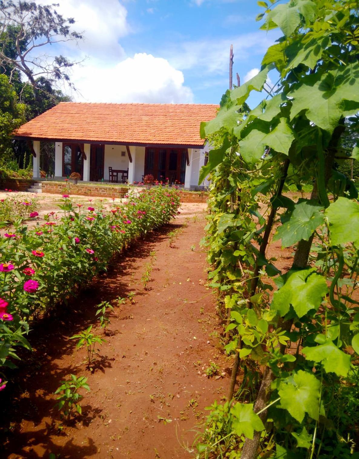 Moni Farm House Wilpattu Nochchiyagama Zewnętrze zdjęcie