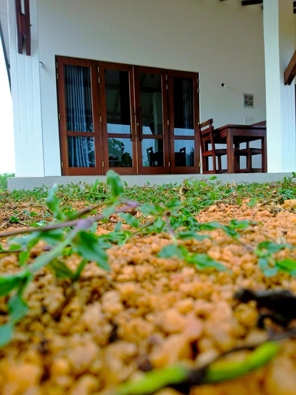 Moni Farm House Wilpattu Nochchiyagama Zewnętrze zdjęcie